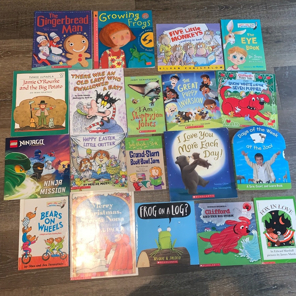 Lot of 19 Childrens books